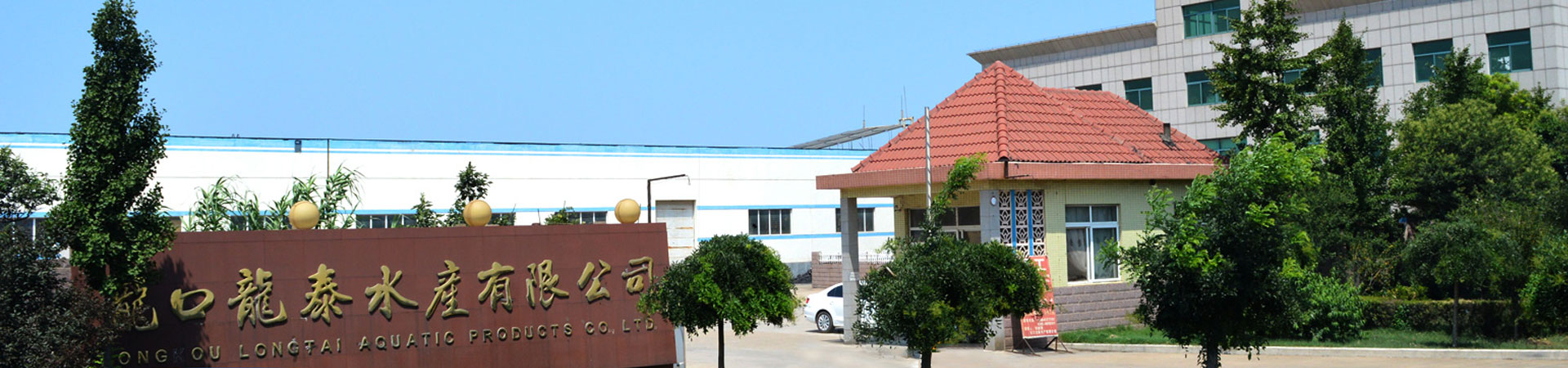 關(guān)于我們